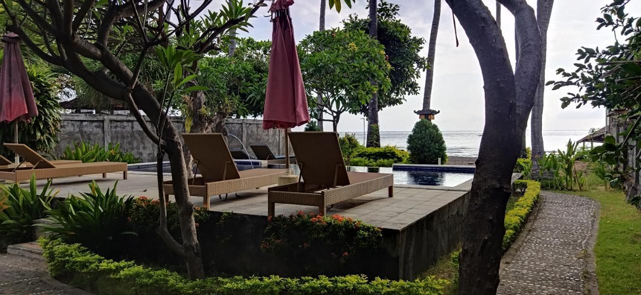 Bintang Amed